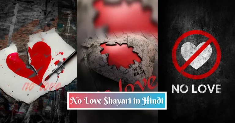 80+ Best No Love Shayari in Hindi 2025